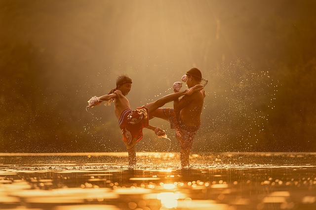 Dynamic martial arts training in action