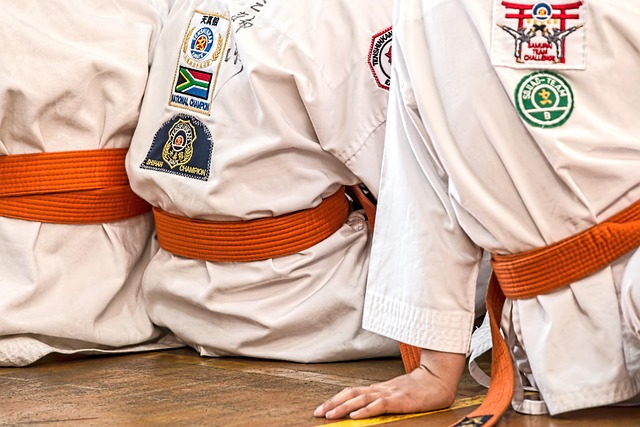 A martial artist in a dynamic pose, looking ahead, symbolizing future challenges and growth within the community