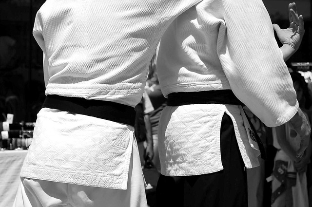 Martial arts training in progress
